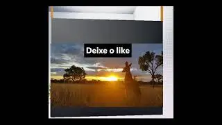 VÍDEOS NO PANO - aaandyoume e os seus amigos