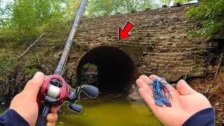 RIVER Fishing The BIG CYPRESS BAYOU!