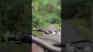 Dibuang Sayang / Jalan Licin Habis Hujan