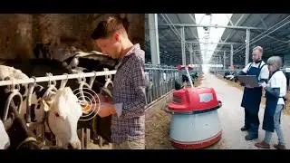 Ireland - Where Food Evolves - 2024