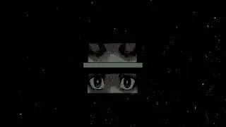 [FREE] NIGHT LOVELL x NETUH x DARK TRAP TYPE BEAT 