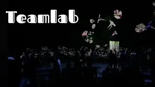 Teamlab Borderless - Japan
