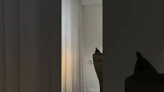 #快手