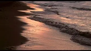 Source [Beachview Cut] - Vladi Strecker