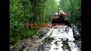 Без слов
