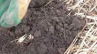 коп ..шурфим по старине .. находки радуют