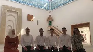 HATIDŽINA BRIGA  / ŠEJMA MEHIĆ I GRUPA REJJAN