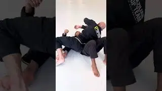 Here are three more finishes from the omoplata position.