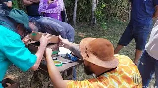 Dia de MANEJO de ASF no Ceará