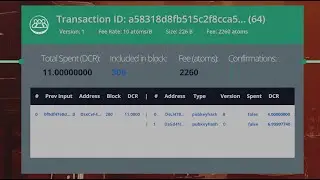 Decred Transaction IDs: The Digital DNA of Blockchain