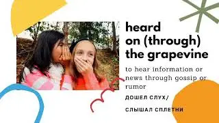 Английский язык. Идиомы.