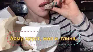Асмр ночной погрызун.  😂🫶