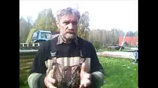 Парадигма хозяйствования
