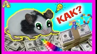 КАК заработать МЫШКЕ  на ИГРУШКИ / Лайк в гостях у СТРЕЛКИ, Макса И СВИНОК / Alisa Easy Pets
