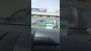 20 августа 2024 г.