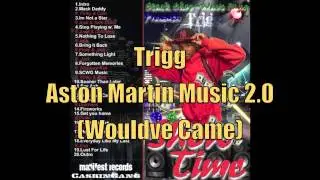Trigg - Aston Martin Music 2.0 (Wouldve Came)