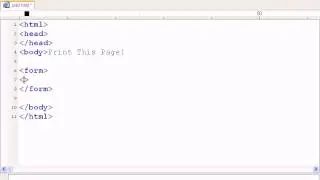 JavaScript CrashCourse 14 Print Function