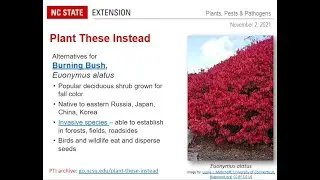 PPP November 2021 | Pest and Plant Disease Issues in NC