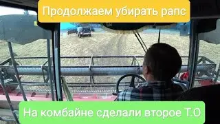 Продолжаем убирать рапс. На комбайне сделали второе Т. О.