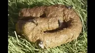 ШоК!!! Моргенштерн И А4 Подрались Из-за Песни