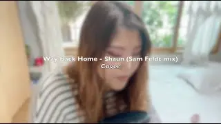 Way Back Home - Shaun cover (Sam Feldt Mix)