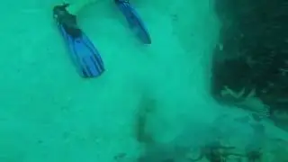 Scuba Diving @Neptune Memorial with Diver's Paradise Key Biscane (3 of 4)