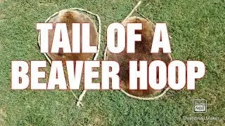 Tail Of A Beaver Hoop