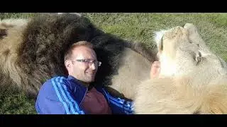 Petting lions Kuchuk and Milkyway