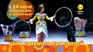 Цирк удивительных зверей