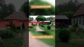 Усадьба Соловьиный рай, отдых в Брестской области 