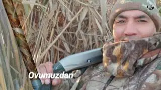SARI SU OVU (ordekde coxdur) KABAB CEKIB DINCELDIK / 2023