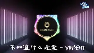 不知道什么是爱 - VIN3ENT