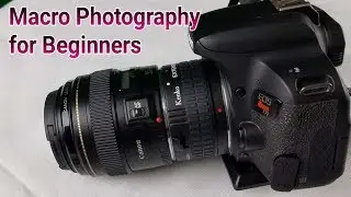 Macro Photography for Beginners with Extenders with tutorial
