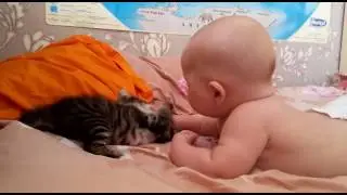 Лучезар играет с Гаврюшей ч. 2