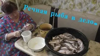 РЕЧНАЯ РЫБА В ДЕЛО! Вот что можно приготовить из речной рыбы!