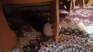 дружба на век