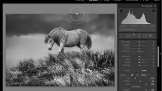 Lightroom tutorial - How to create moody black & white photos