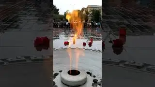 Вечная Слава советскому воину-освободителю! / День памяти и скорби