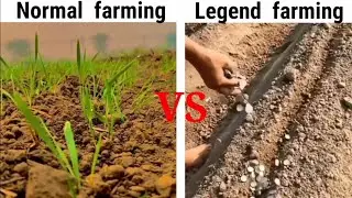 Normal people vs legend farming | meme #iphonememe #memes