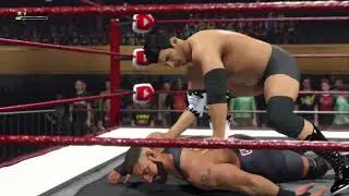 Xander Von Zenk VS Bron Breakker for vexiltus on Fiverr
