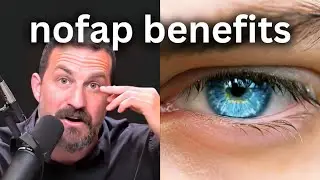 neuroscientist explains biggest nofap benefits (andrew huberman)