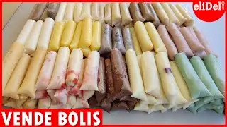 150 Popsicles with Just One Recipe to Sell and Earn Money from Home