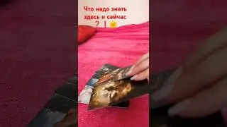 17 июня 2024 г.