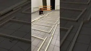 25 июня 2024 г.