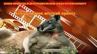 Kangaroo Jock hard fun