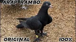 Мы вместе , Файз Лучёб город Душанбе !!!