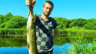 поймал щуки на 5 кг