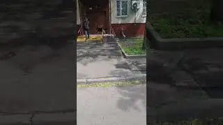 прогулка