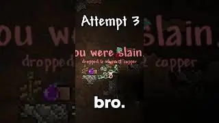 This challenge took 50+ hours...     #terraria #gaming #terrariahardcore #funnygaming