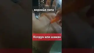 #хиромантия #palmistry #shorts #short